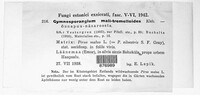 Image Associated With the Occurence
